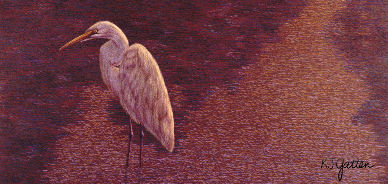 Egret at Dusk